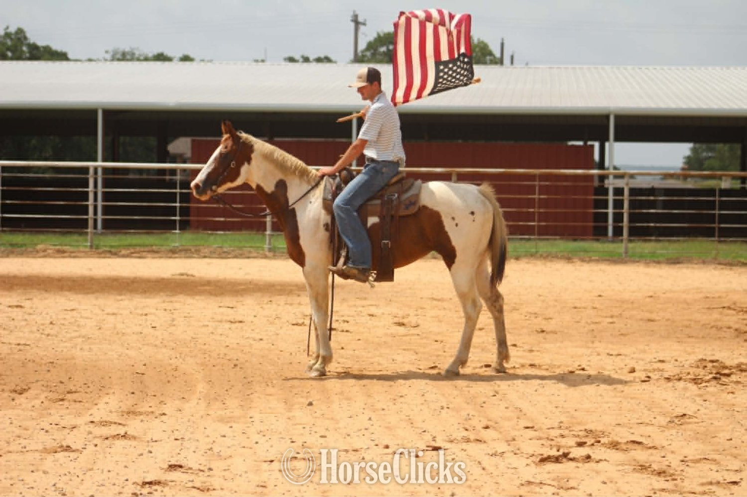 Paint - "COWGIRL" Tabiano Mare Paint in Texas