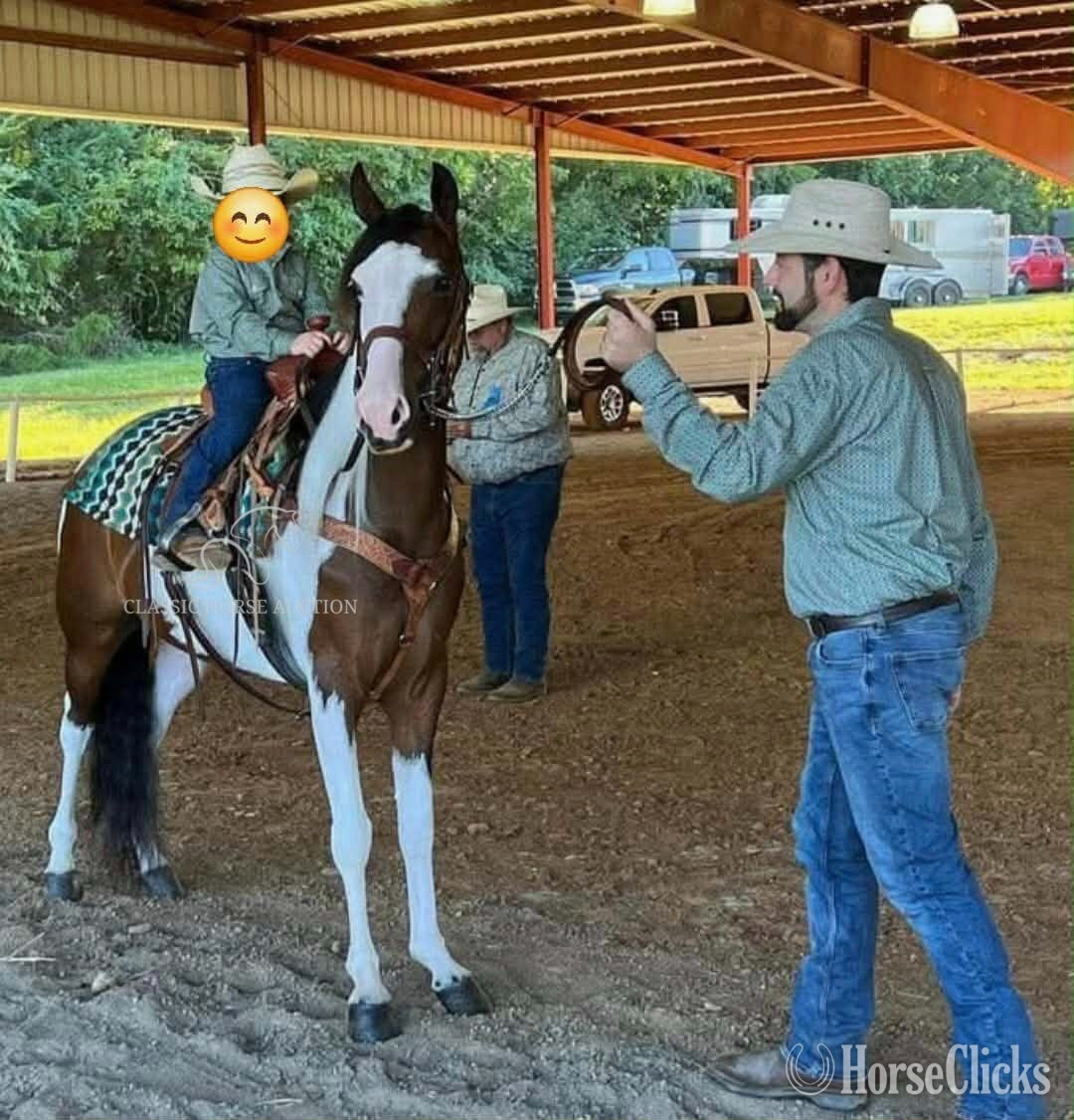 Tennessee "BONNIE PARKER" Tabiano Mare Spotted Saddle