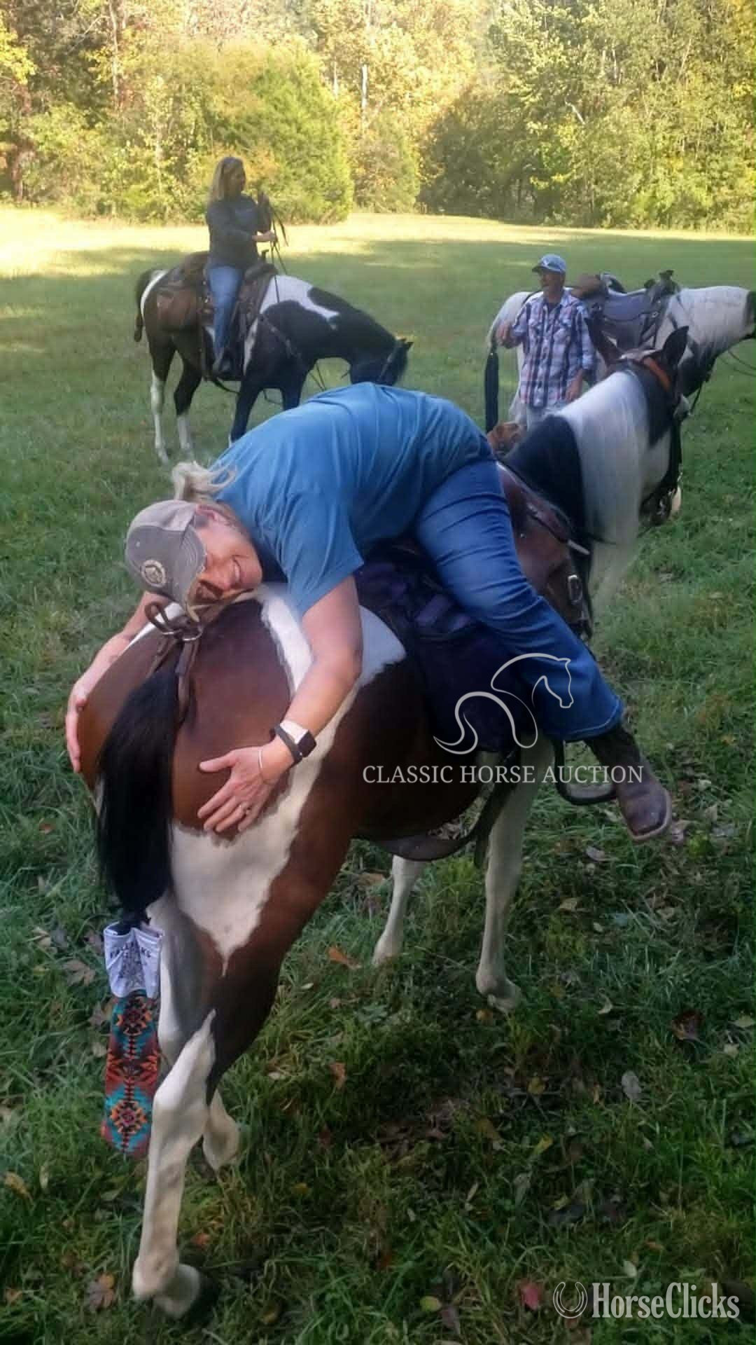 "BONNIE PARKER" Tabiano Mare Spotted Saddle - Spotted Saddle in Tennessee