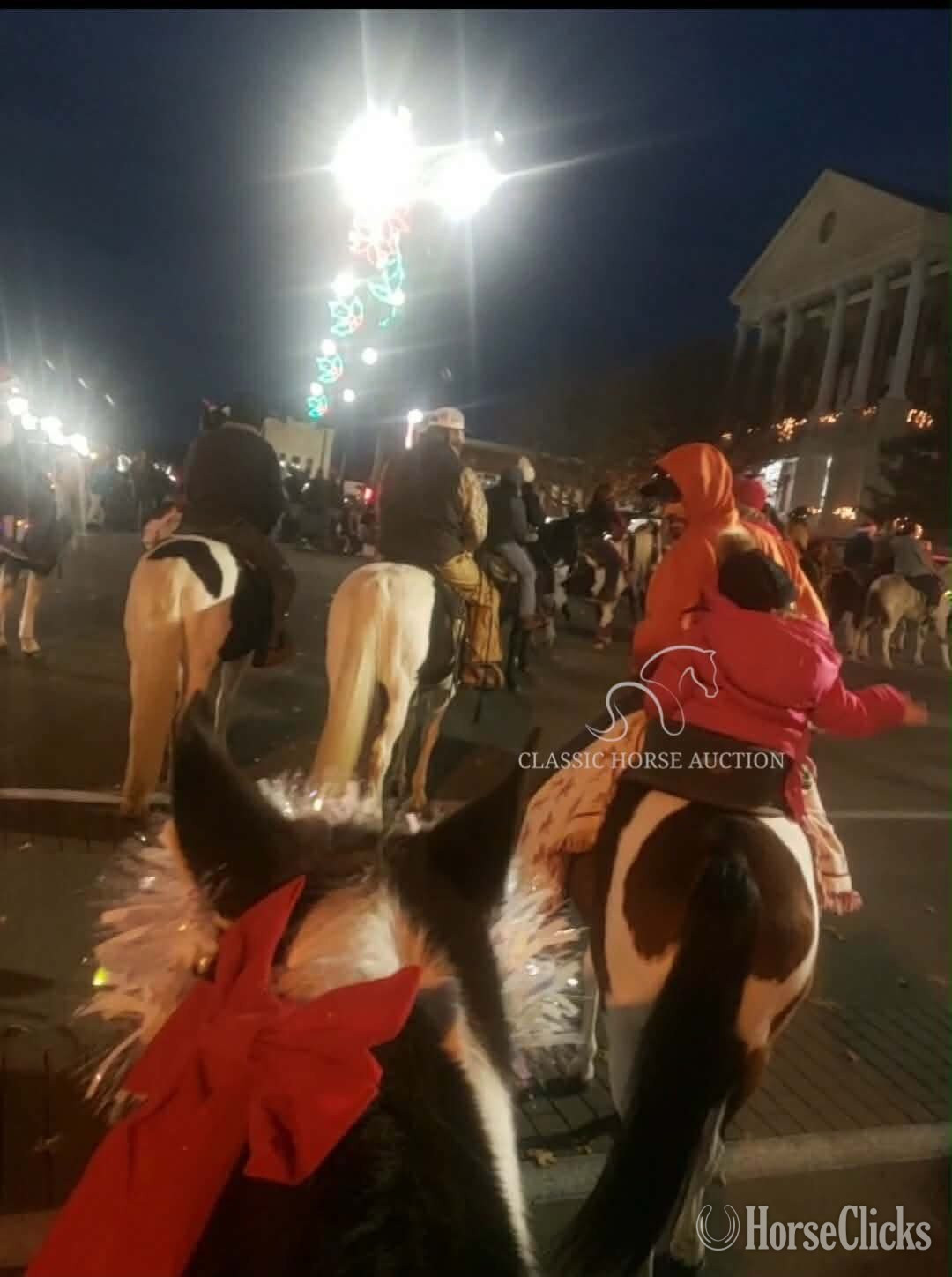 "BONNIE PARKER" Tabiano Mare Spotted Saddle Tennessee