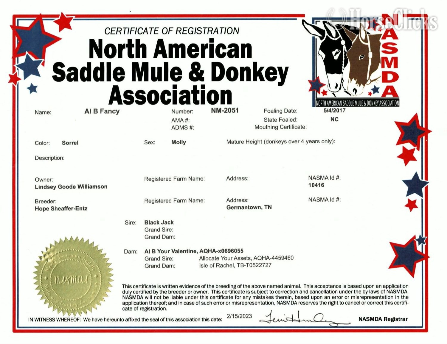 Mule - "JOSIE" Sorrel Mare Mule in Idaho