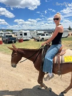 Mule - "JOSIE" Sorrel Mare Mule