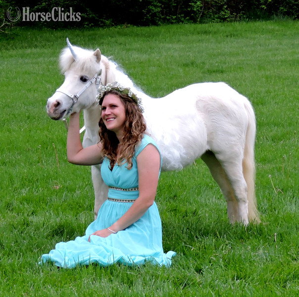 "Please call or text us at *941-548-MINI*" White Mare American Miniature in Florida