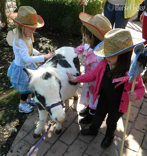 "Call or text us at **941-548-MINI** " Pinto Mare American Miniature in Florida
