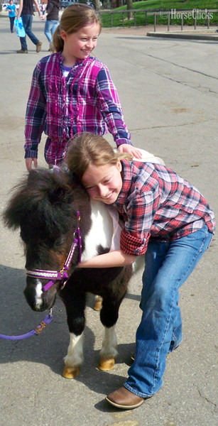 "Call or text us at **941-548-MINI** " Pinto Mare American Miniature Florida