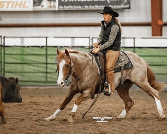 "Juan Mas Tiempo" Red Roan Stallion Paint