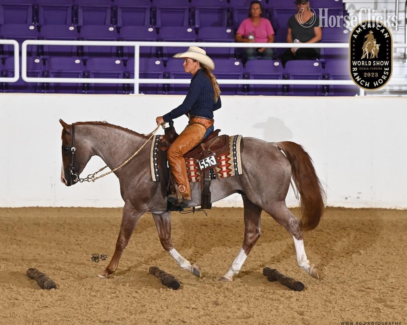North Carolina "Juan Mas Tiempo" Red Roan Stallion Paint