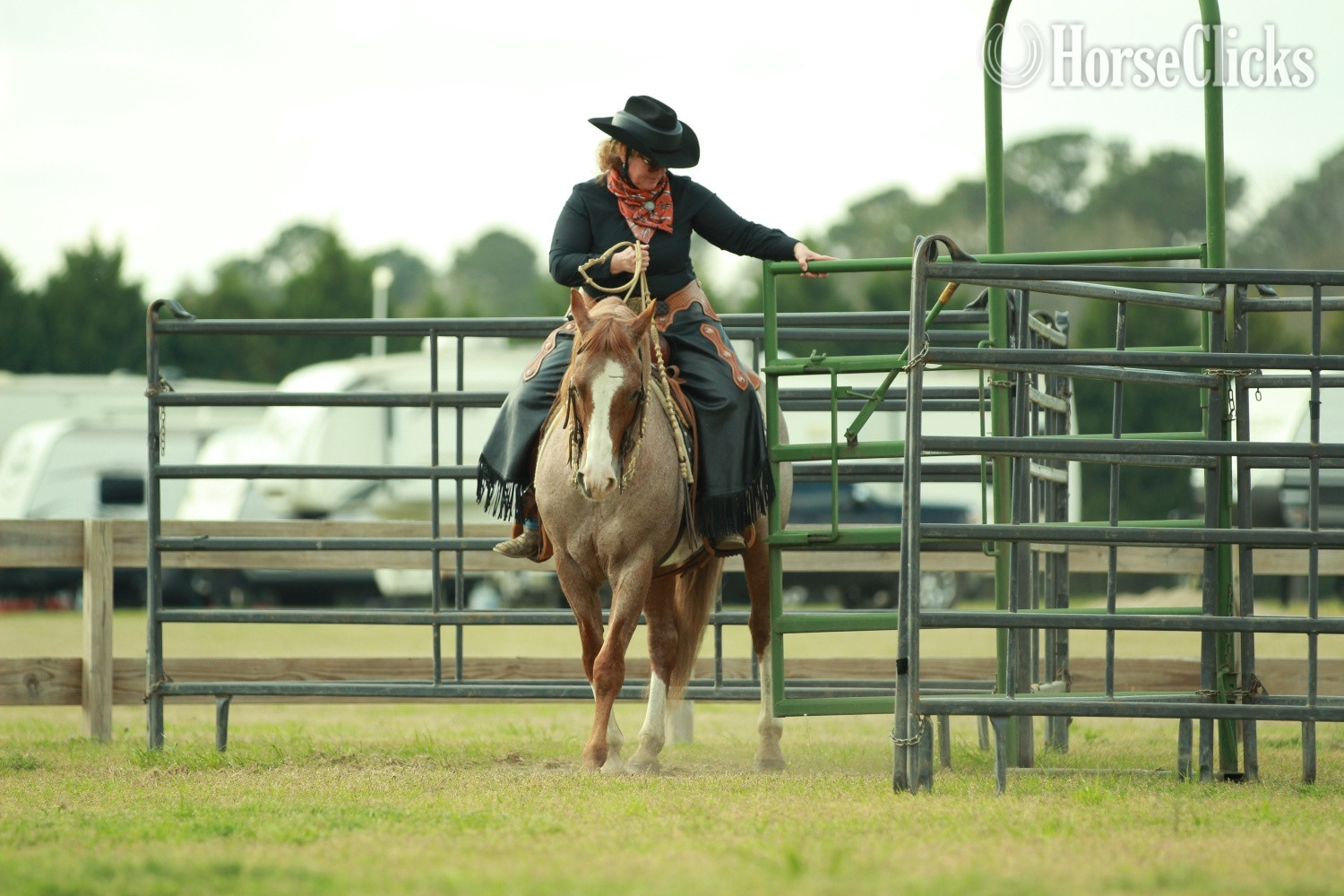 "Juan Mas Tiempo" Red Roan Stallion Paint - Paint in North Carolina