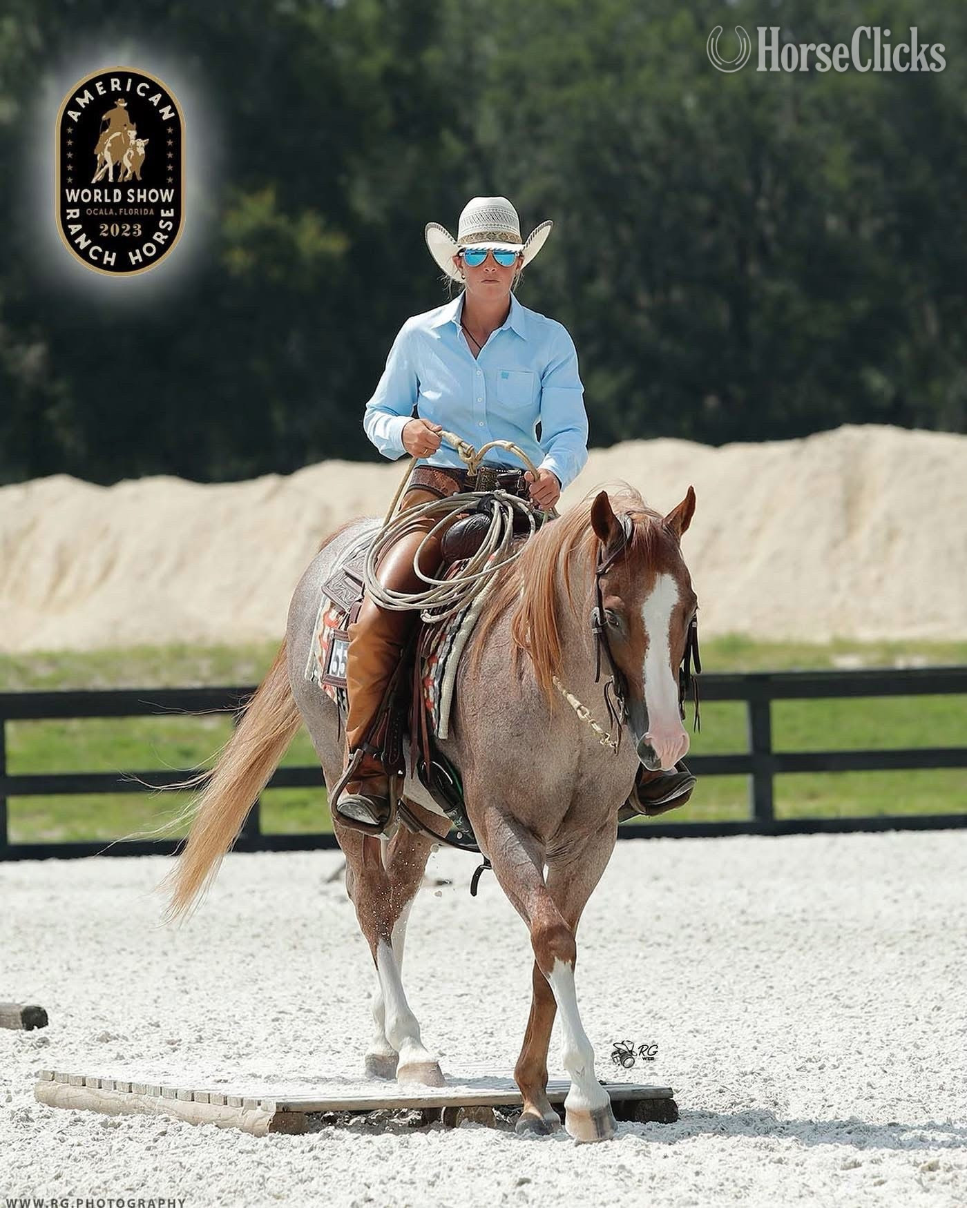 Paint - "Juan Mas Tiempo" Red Roan Stallion Paint