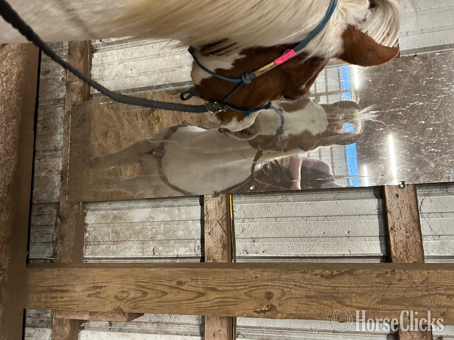 "Cowboy" Tabiano Gelding Paint - Paint