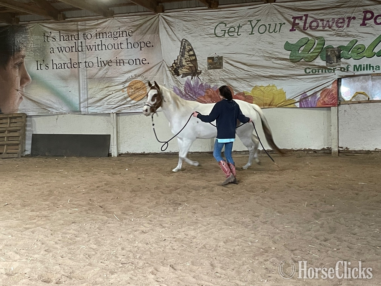 Paint - "Cowboy" Tabiano Gelding Paint in Michigan