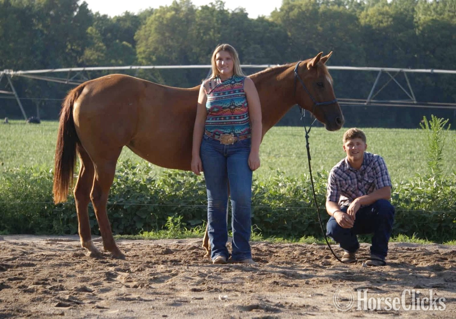 "TANSY" Sorrel Mare Quarter Horse