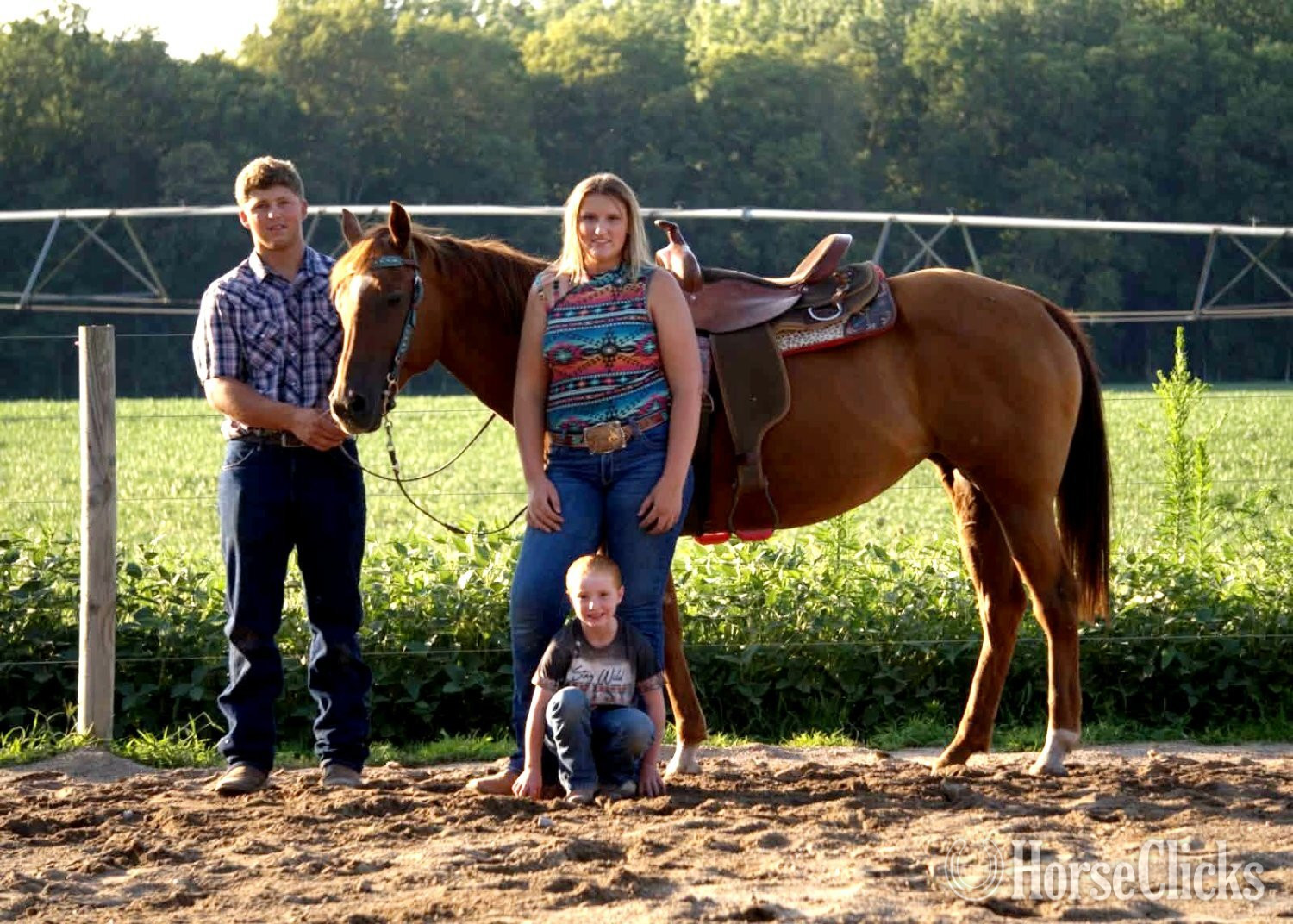 Indiana "TANSY" Sorrel Mare Quarter Horse