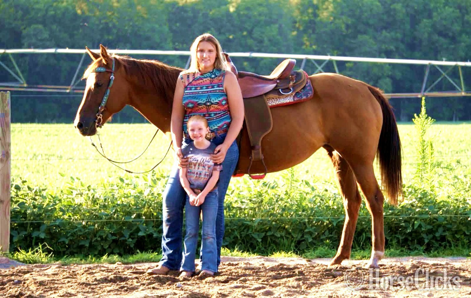 "TANSY" Sorrel Mare Quarter Horse - Quarter Horse in Indiana