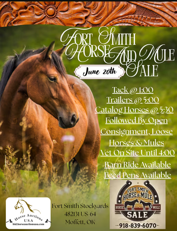 Fort Smith Horse and Mule Sale